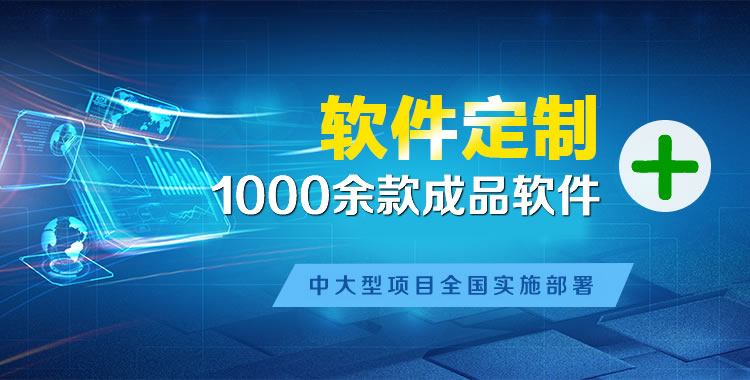 定边管理系统软件软件开发